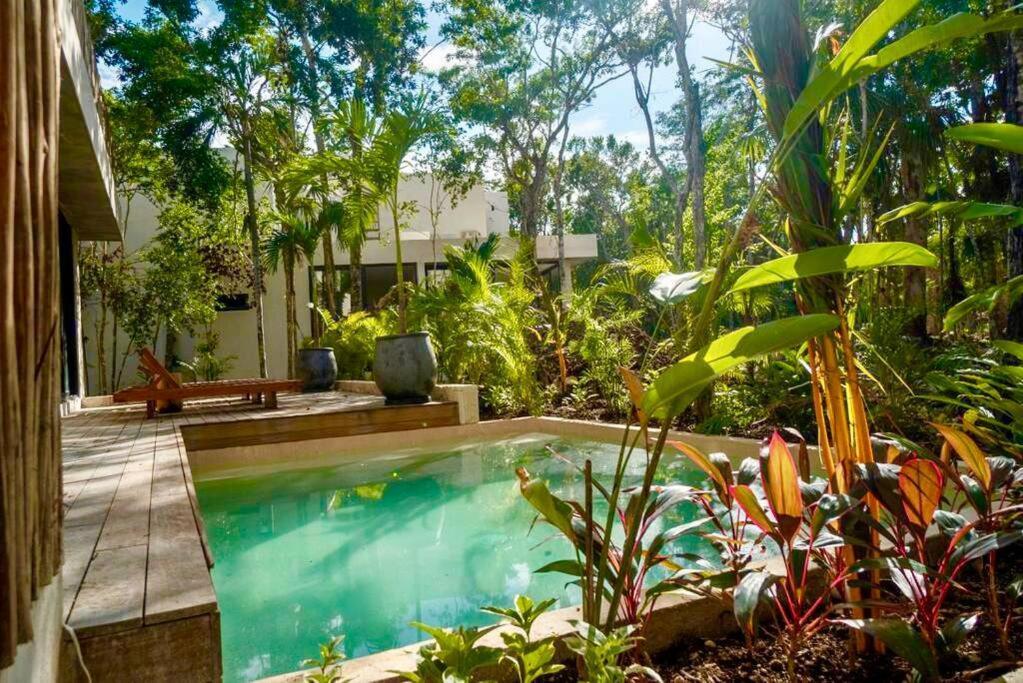 Villa Xuncari In The Heart Of The Jungle Tulum Exteriör bild