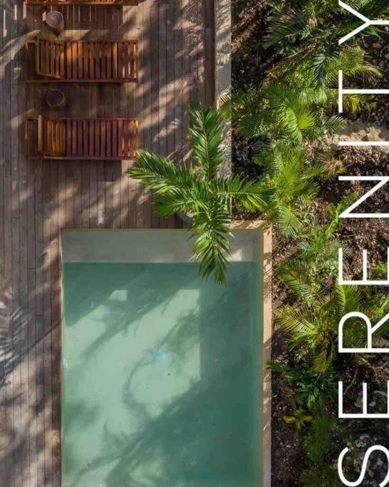 Villa Xuncari In The Heart Of The Jungle Tulum Exteriör bild