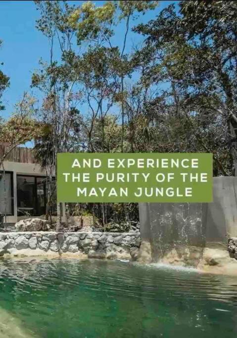 Villa Xuncari In The Heart Of The Jungle Tulum Exteriör bild